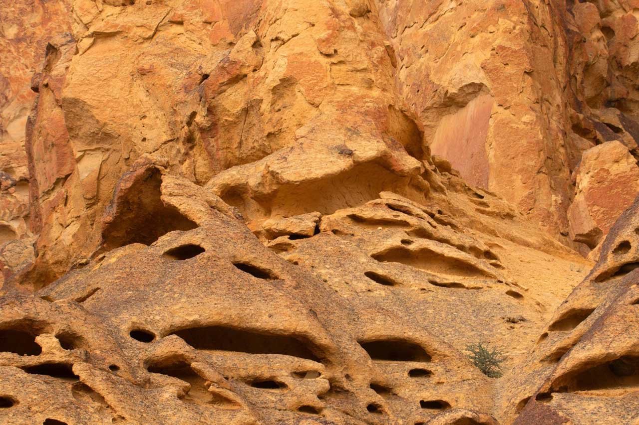 Rhyolite rock formations eroded into honeycomb shapes