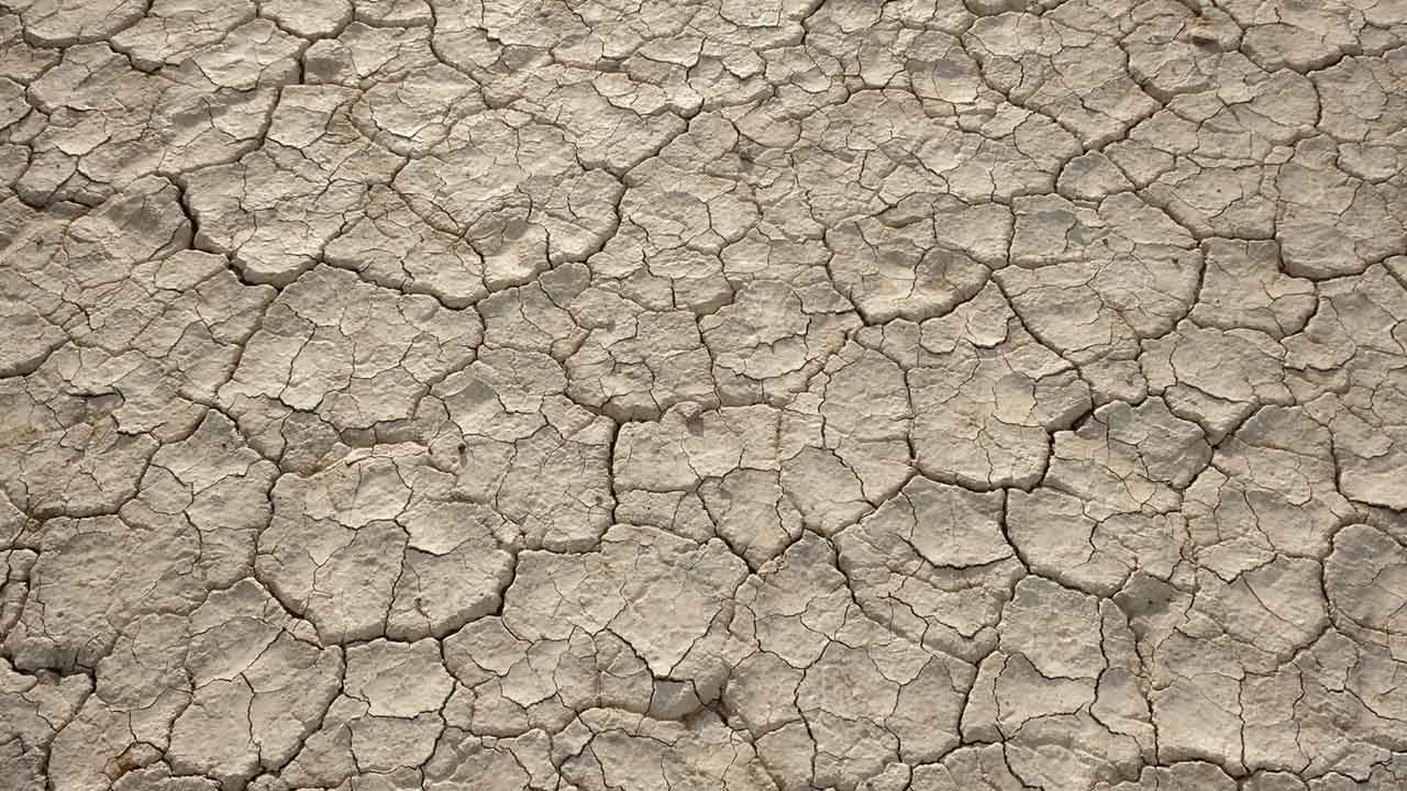 Alvord Desert Floor