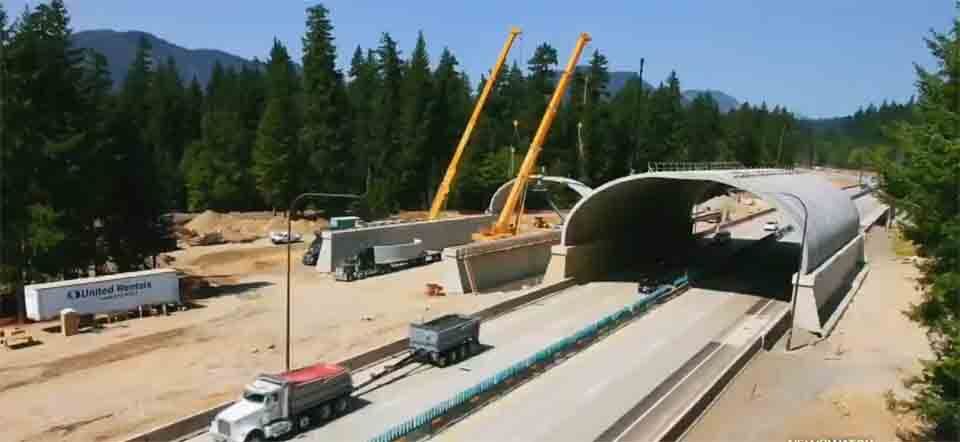 Wildlife Crossing In Southern Oregon