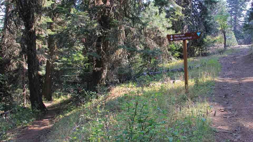 The Pacific Crest Trail (PCT) in southern Oregon