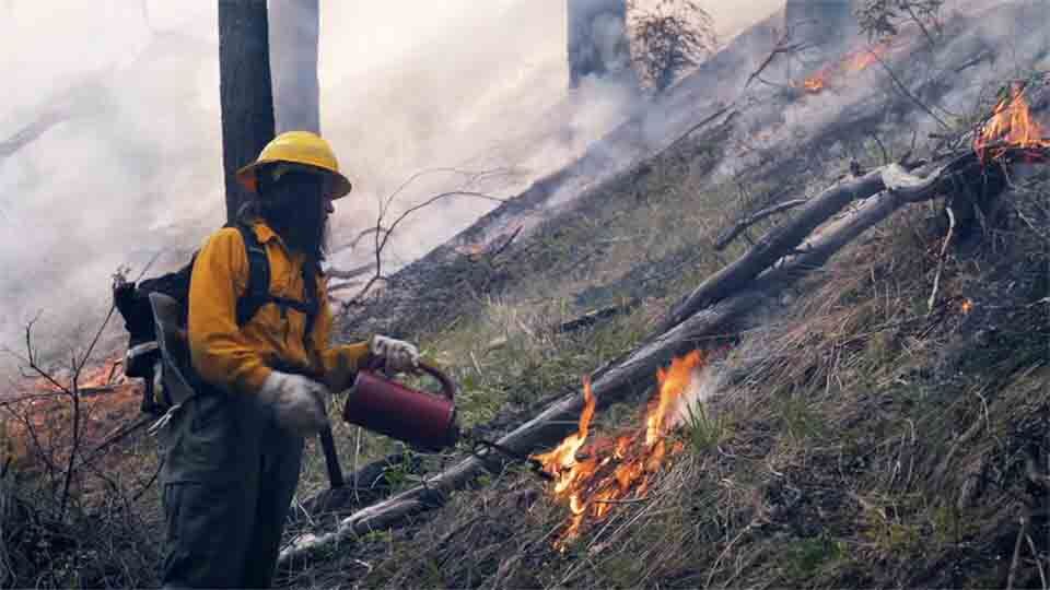 Ashland Tribal Youth Forestry Restoration Program