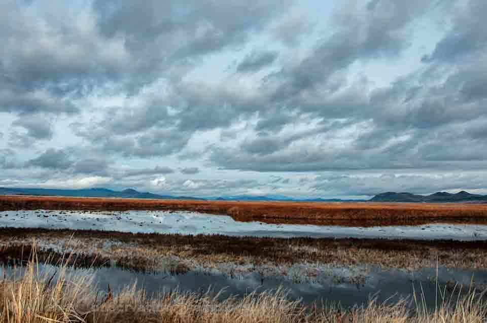 Klamath Basin National Wildlife Refuge