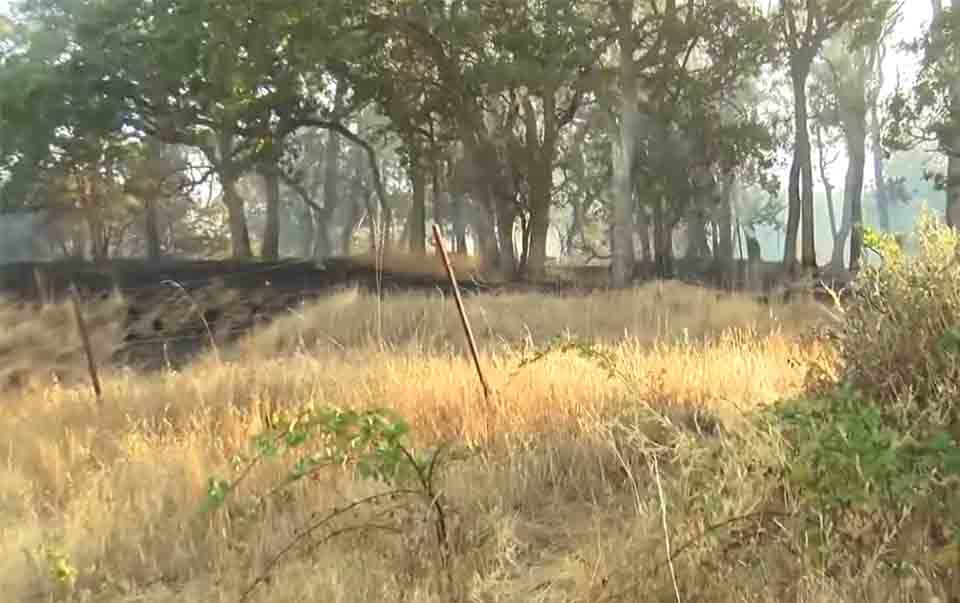 Grass fire along I-5, south of Ashland Oregon