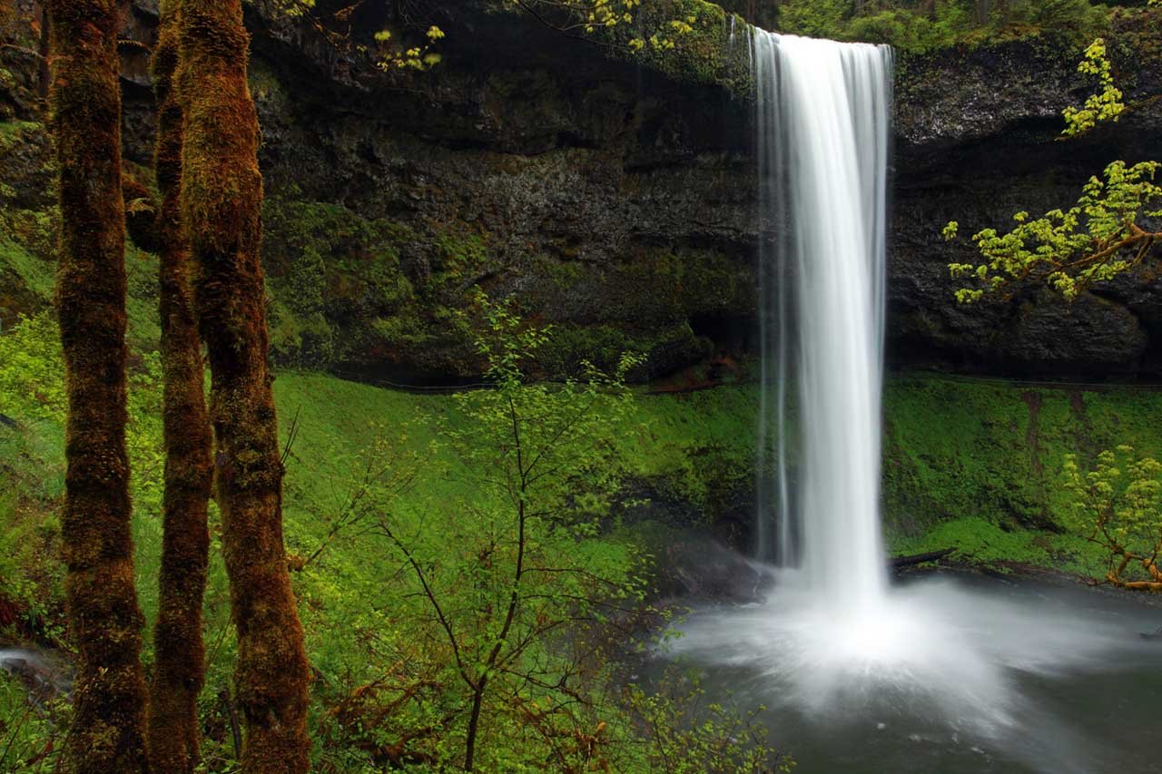 South Falls - (Silver Falls State Park)