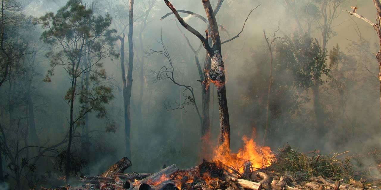 Climate change representation