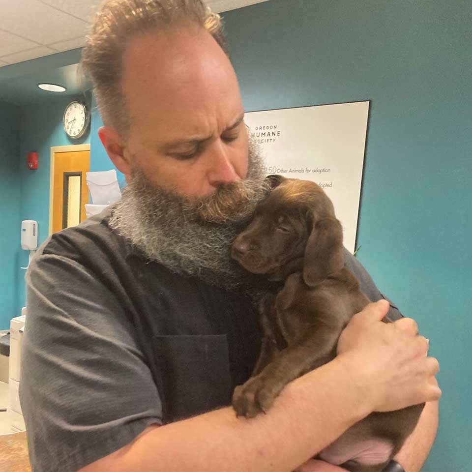 Fireball, Labrador pitbull mix stolen from Oregon Human Society