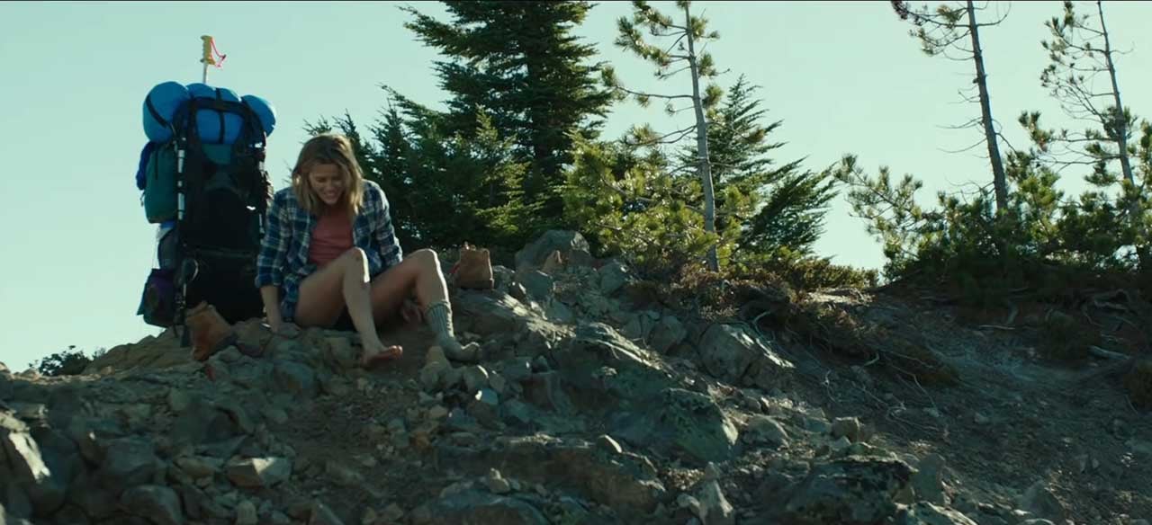 Wild (2014)