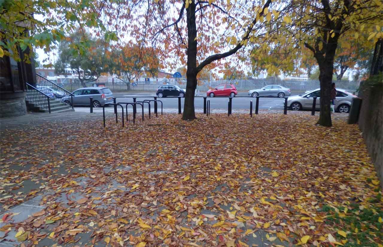 Fallen Autumn leaves in a garden