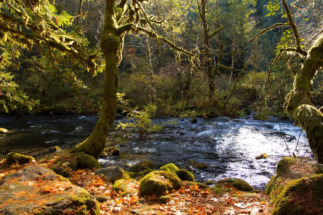 Middle Fork Willamette River, Oregon