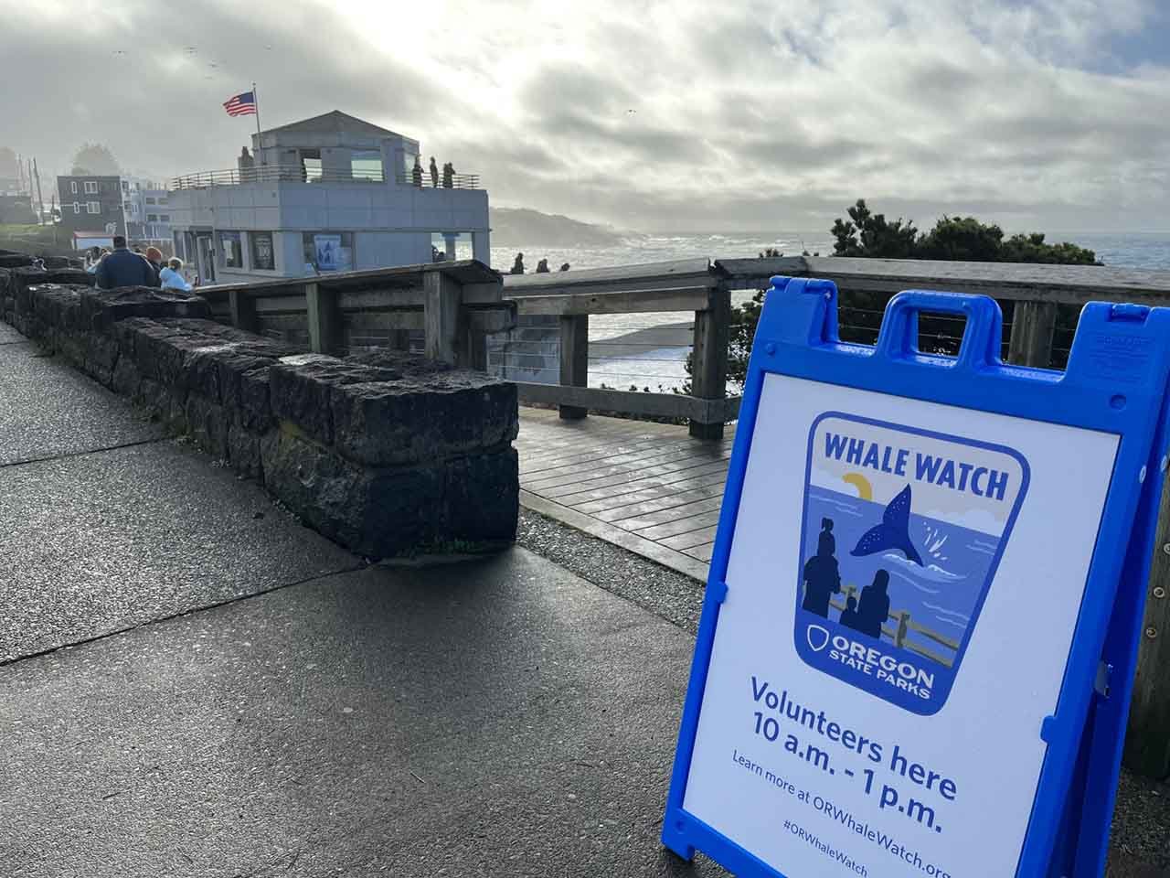 Oregon Winter Whale Watch Week