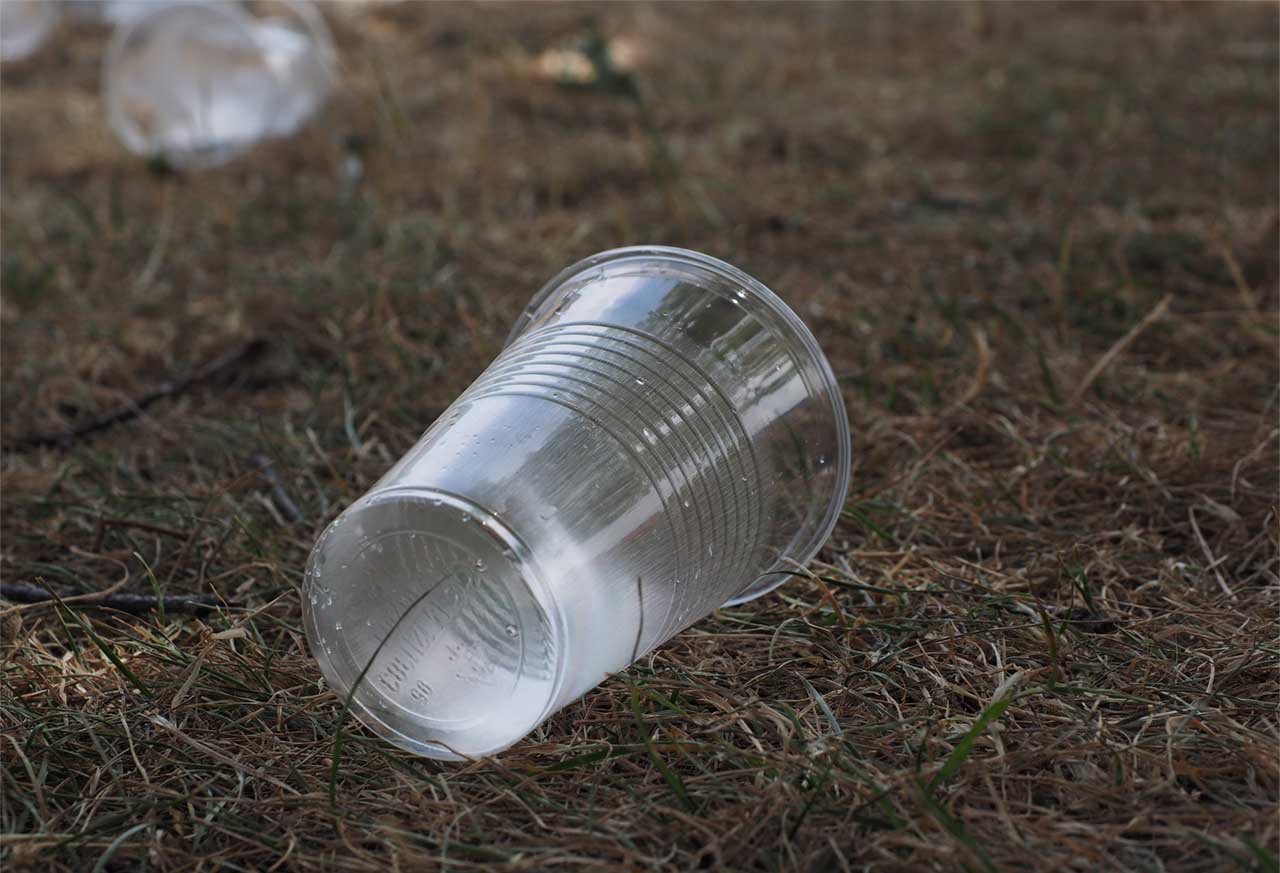 Single use plastic cup