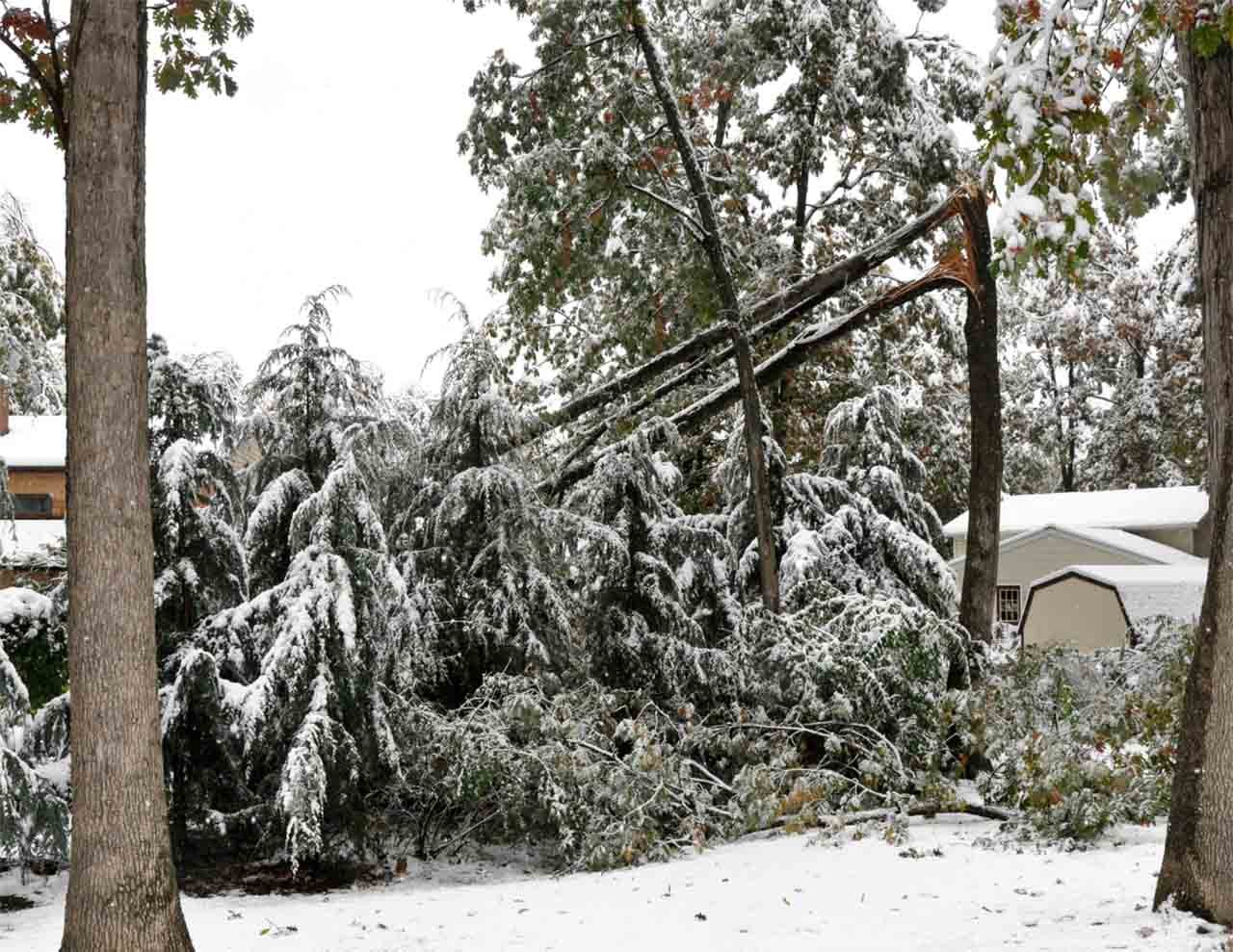 Heavy SNow - Southern Oregon