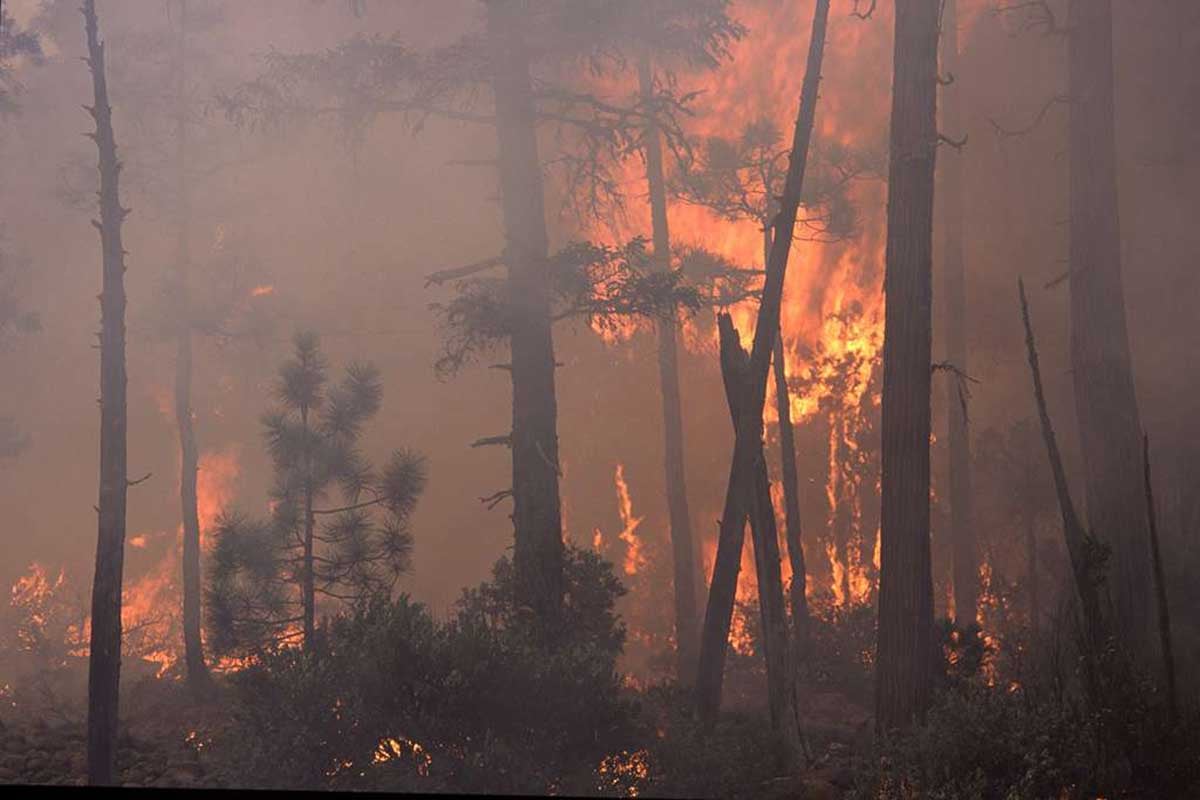 Wildfire - Smoke - Oregon