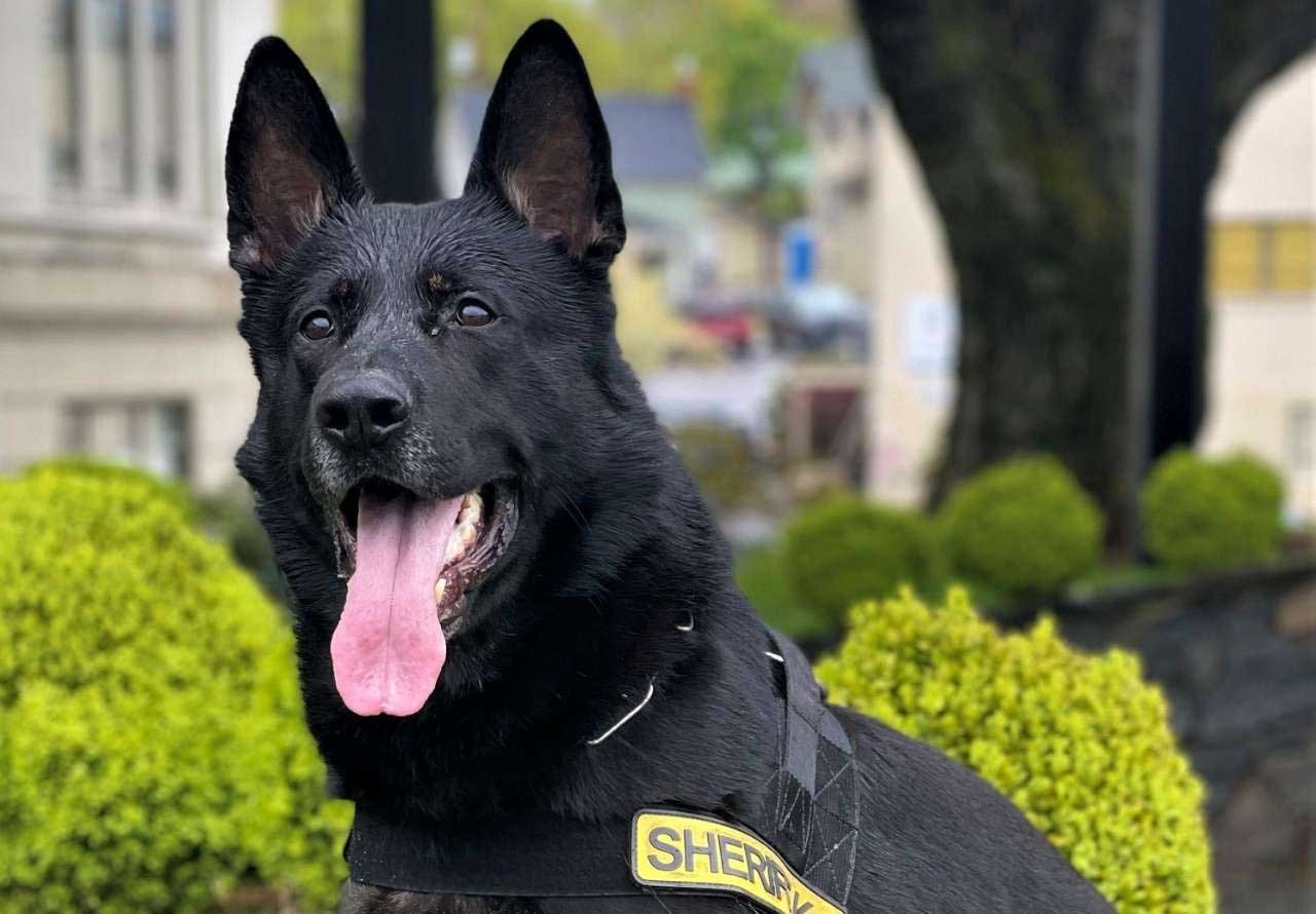 K9 Eros