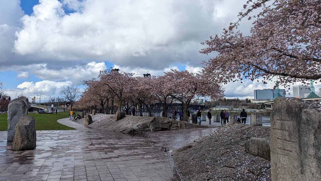 Tom McCall Waterfront in Portland Oregon