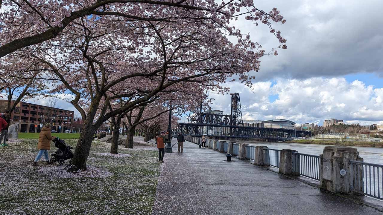 Tom McCall Waterfront in Portland Oregon