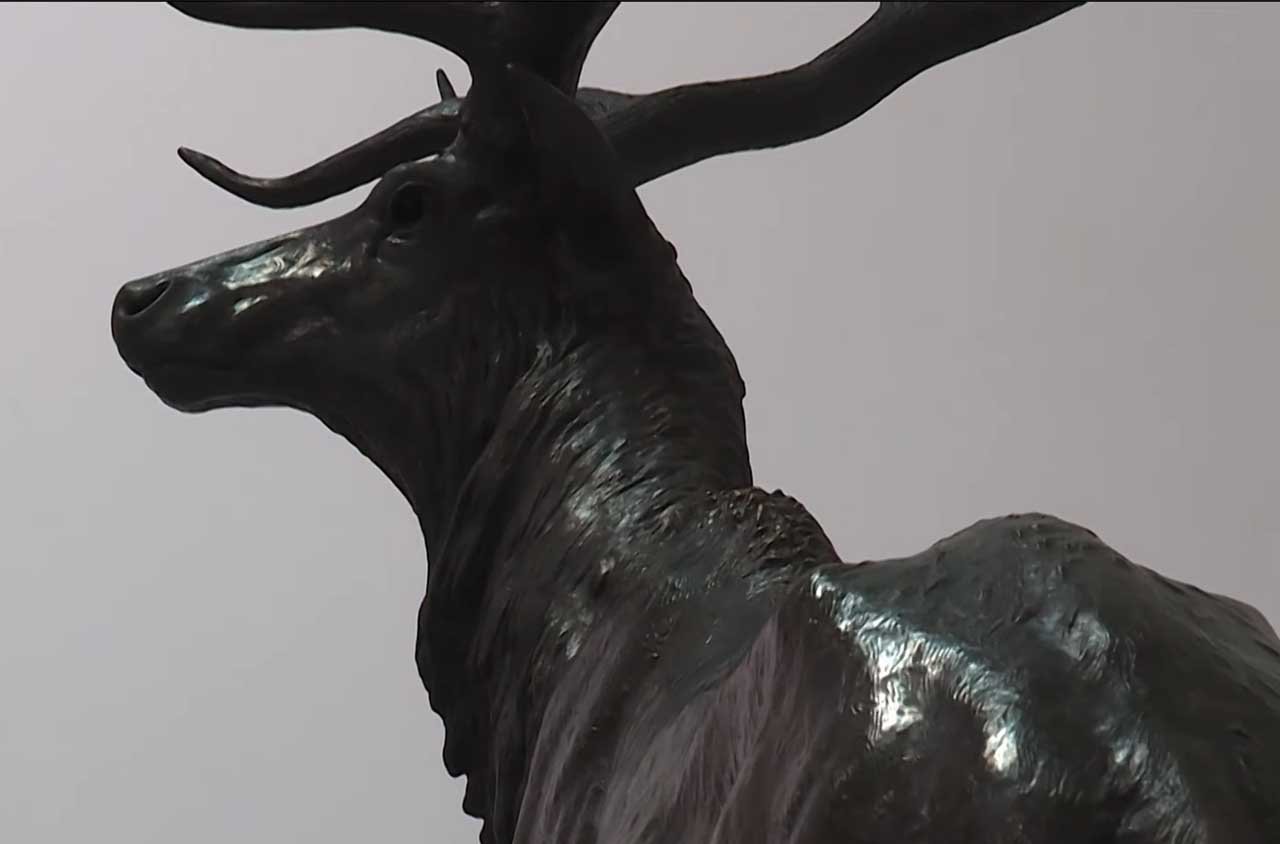 Elk statue, Portland Oregon
