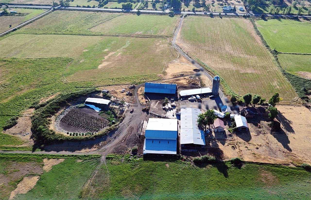 Task Force Busts Black-Market Cannabis Grow, Eagle Point, Oregon