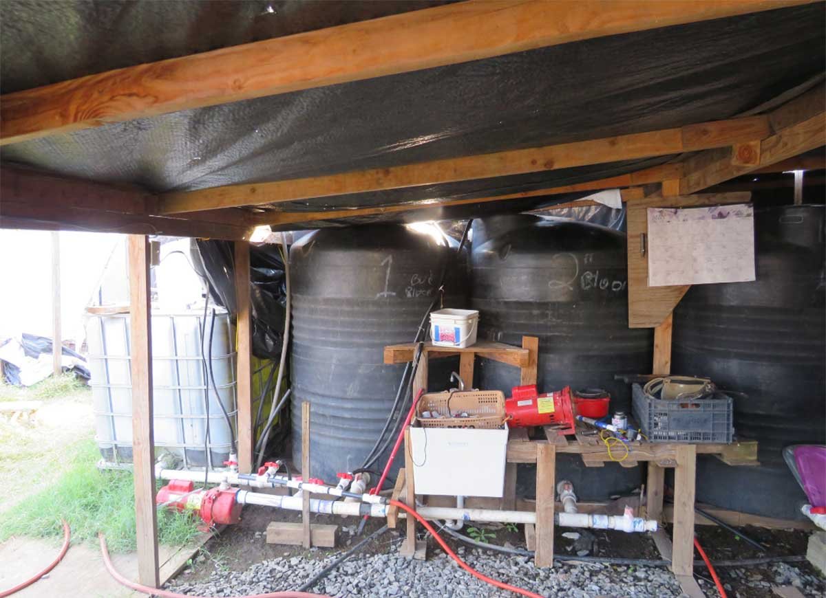 Josephine county marijuana grow