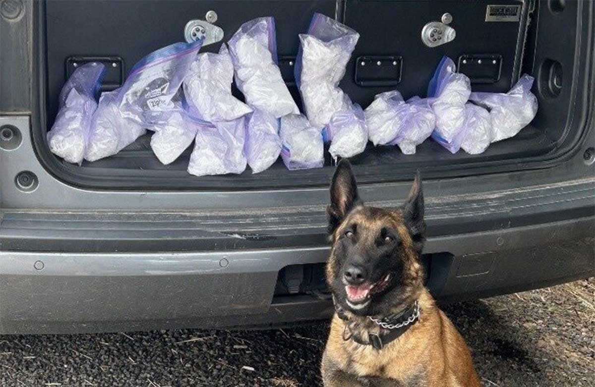 Portland Police bust