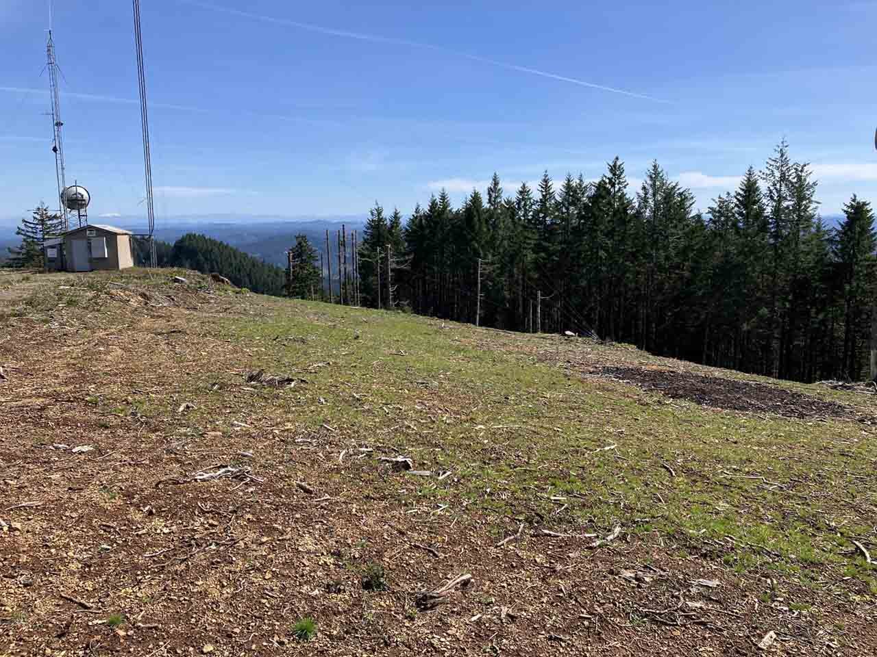 The meadow was seeded with native plants, and they grew quickly the first year.