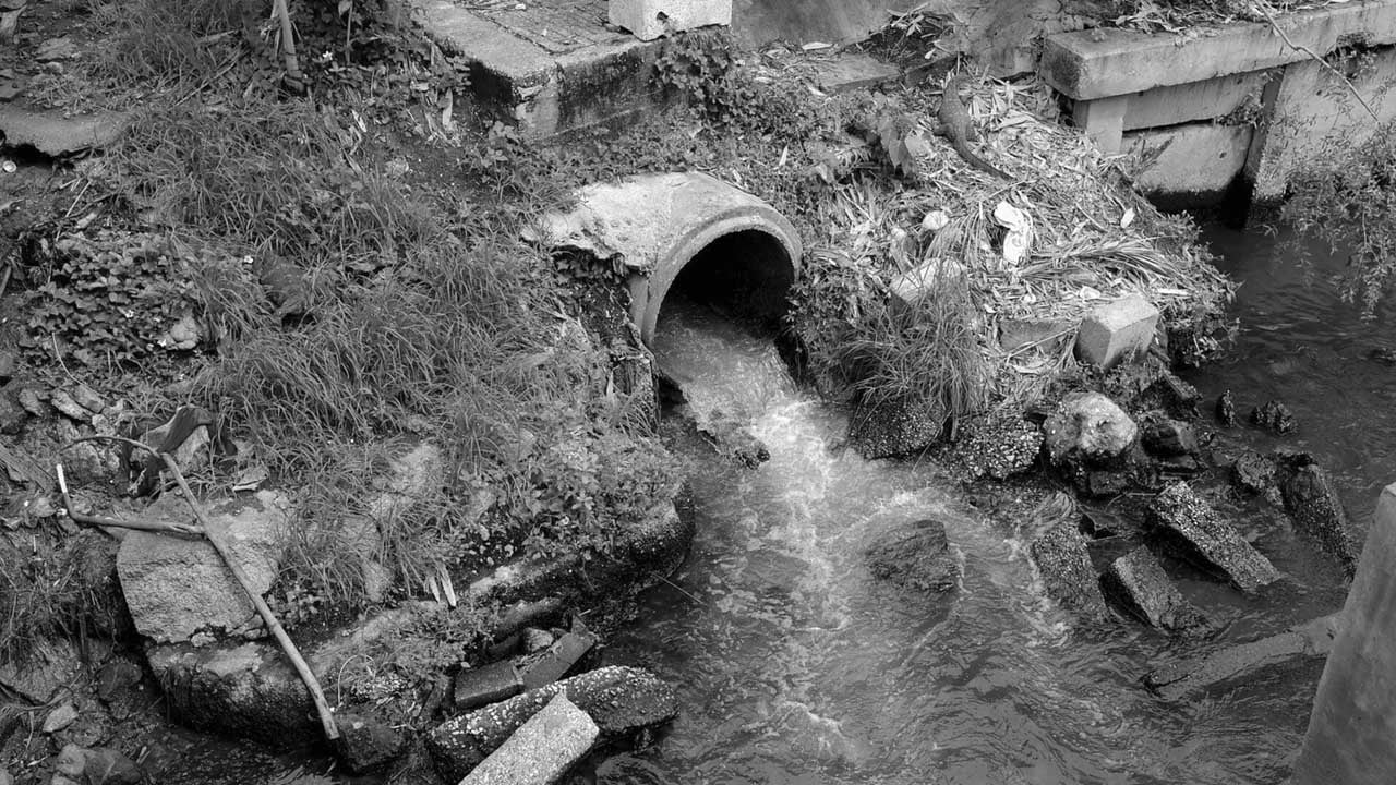 Sewer drainage system