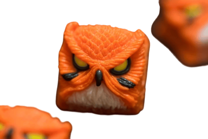 Keypora — Tiger