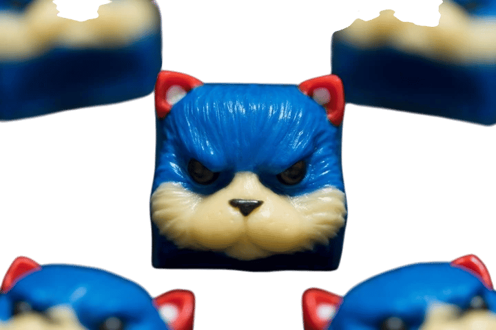 Salvador — Sonic