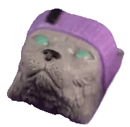 Koshka — HyperMews