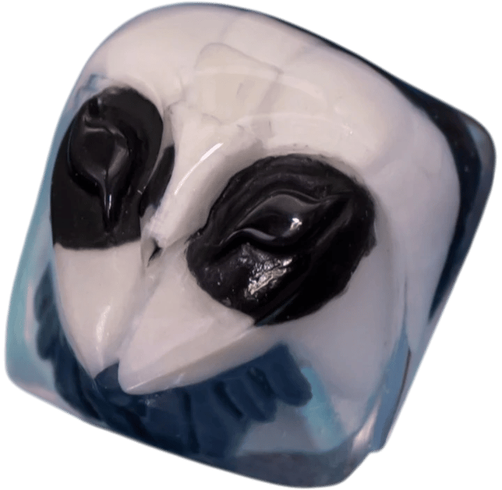 Xayru — Hollow Knight