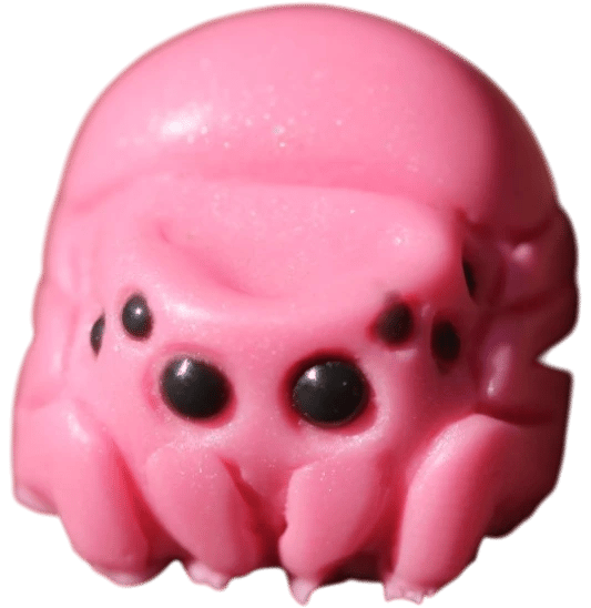 Spooder v1 — Daemonic Bubblegum