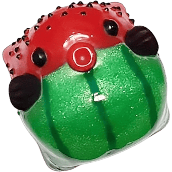 Puffy — Watermelon