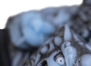 KeyForge Orochi Freezer Burn artisan keycap