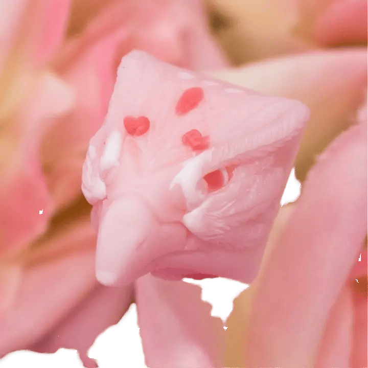 Keyzen Vermillion Hanami artisan keycap
