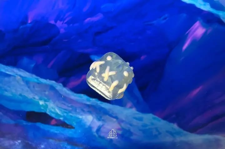 Threadward — Icy