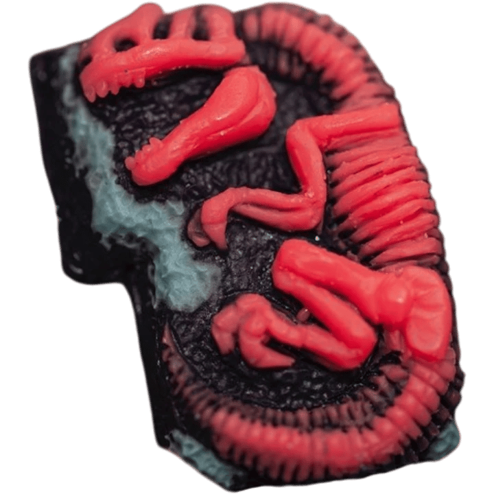 Melonaurus Fossil — Laser