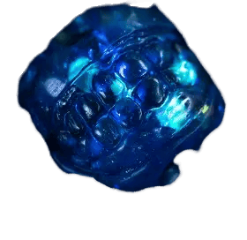 Dental Plan — Nocticulture