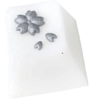Sakura Blanks (MX) — Argentum Salz
