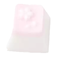 Sakura Blanks (MX) — Pink Mist