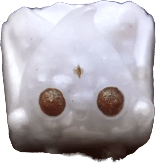 Zorbcaps Flora Divine artisan keycap