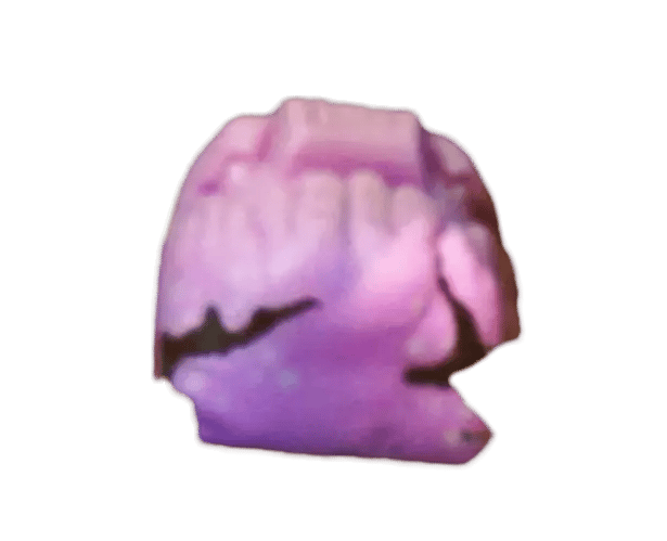 Golem v3 — Sakura