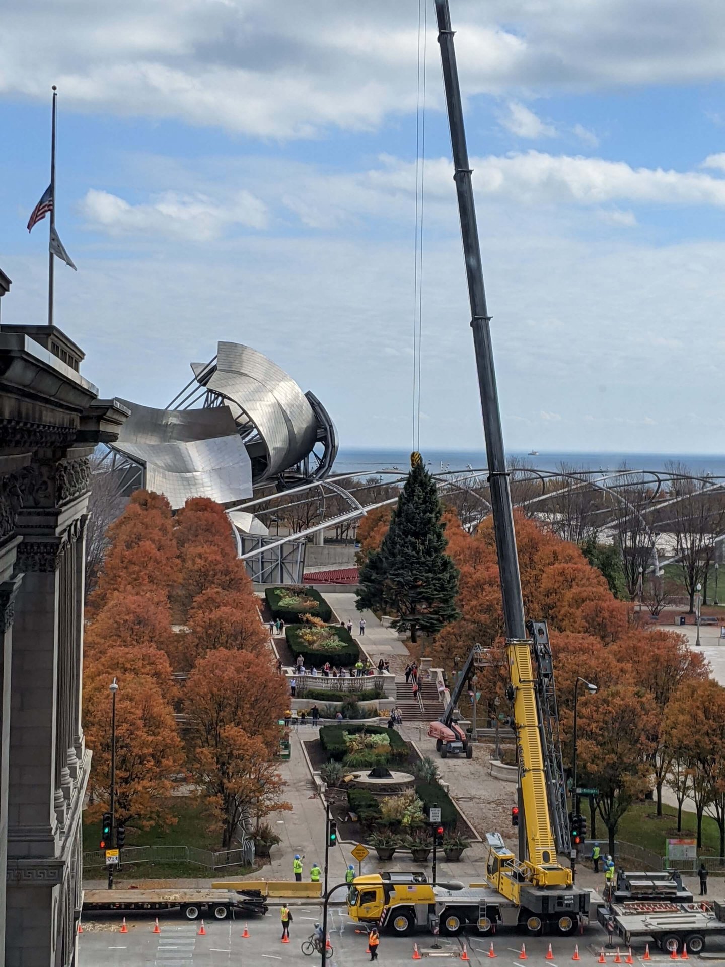 2020 Christmas Tree Arrives
