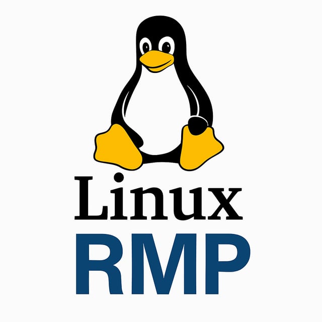 Linux 上的 RMP EtherCAT 主机和运动控制器