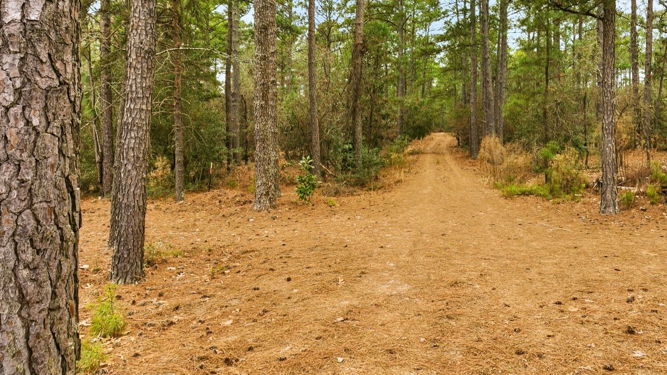 Internal roads and circulation