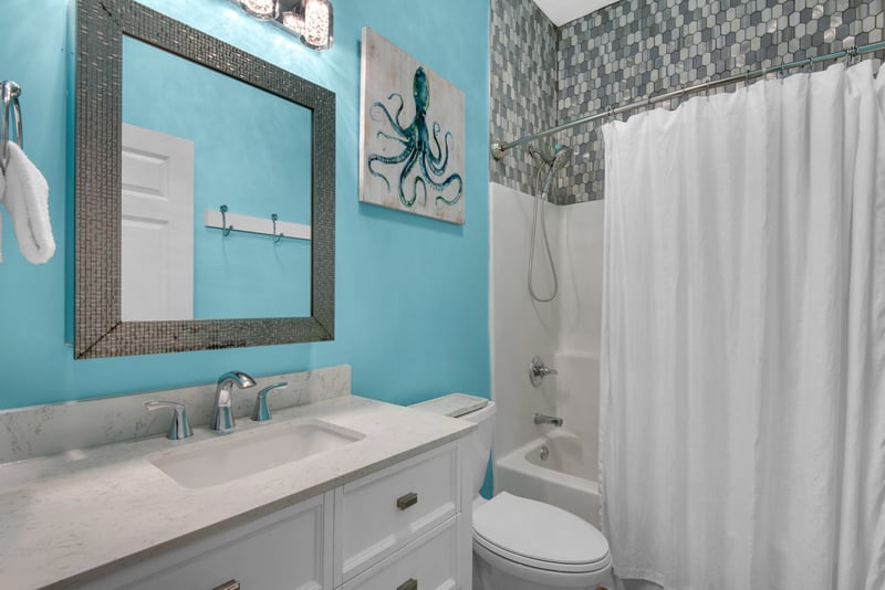 Guest Bathroom 