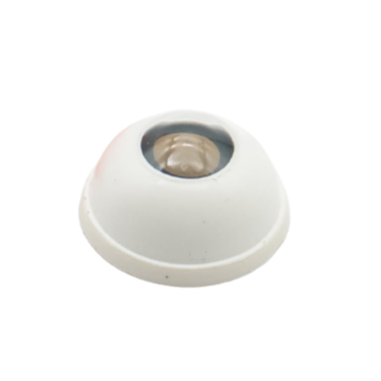 Eye Front Capsule Support 2.0