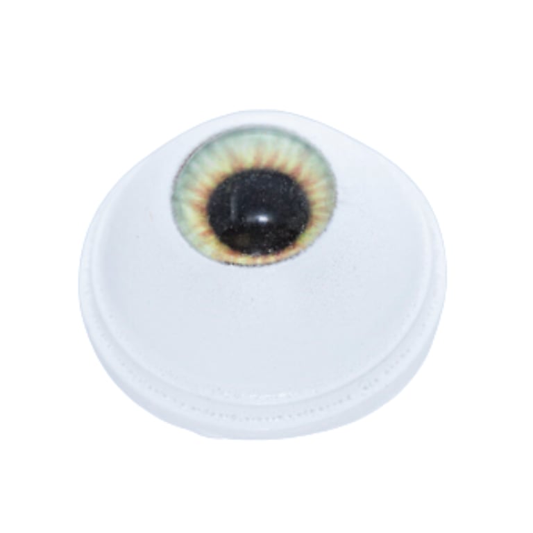 Simuleye for MIGS Kahook Dual Blade