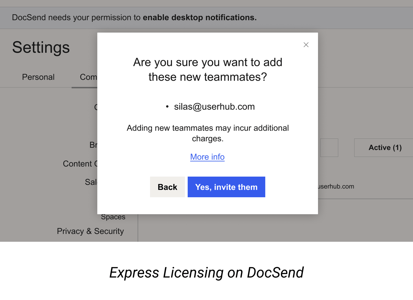 docsend express licensing