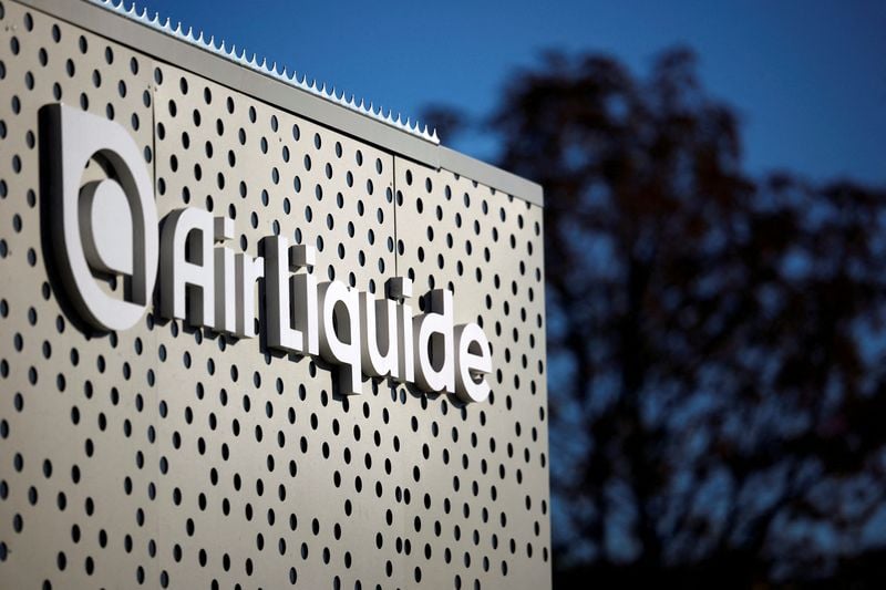 Image for Air Liquide confirms guidance as energy transition, chip sector boost results