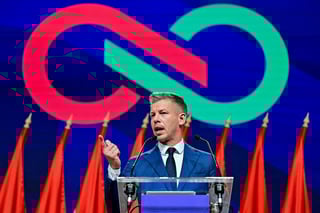 Image for Hungary's Magyar will talk to MOL leadership, focus on fuel supplies